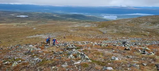 Svepande utsikt från Pieljekaise-toppen - Naturupplevelse utöver det vanliga! 🏔️