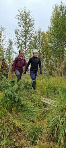 Svepande utsikt från Pieljekaise-toppen - Naturupplevelse utöver det vanliga! 🏔️
