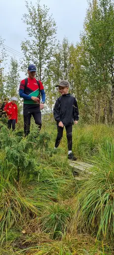 Svepande utsikt från Pieljekaise-toppen - Naturupplevelse utöver det vanliga! 🏔️