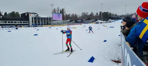 Klicka på bilden för att förstora