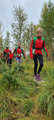 Svepande utsikt från Pieljekaise-toppen - Naturupplevelse utöver det vanliga! 🏔️