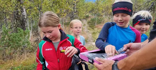 Svepande utsikt från Pieljekaise-toppen - Naturupplevelse utöver det vanliga! 🏔️