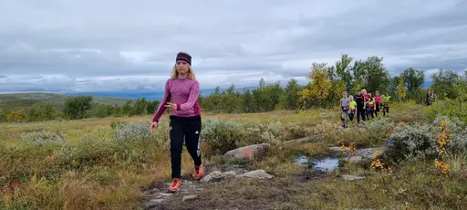 Svepande utsikt från Pieljekaise-toppen - Naturupplevelse utöver det vanliga! 🏔️