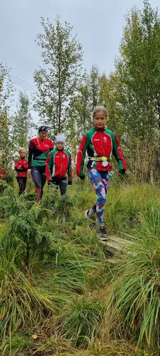 Svepande utsikt från Pieljekaise-toppen - Naturupplevelse utöver det vanliga! 🏔️