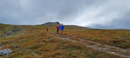 Svepande utsikt från Pieljekaise-toppen - Naturupplevelse utöver det vanliga! 🏔️