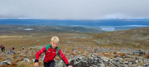 Svepande utsikt från Pieljekaise-toppen - Naturupplevelse utöver det vanliga! 🏔️