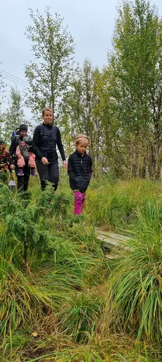 Svepande utsikt från Pieljekaise-toppen - Naturupplevelse utöver det vanliga! 🏔️
