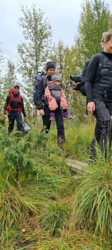 Svepande utsikt från Pieljekaise-toppen - Naturupplevelse utöver det vanliga! 🏔️