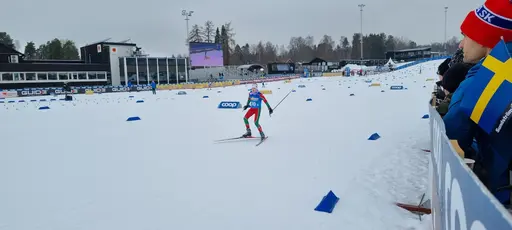 Klicka på bilden för att förstora