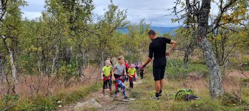 Svepande utsikt från Pieljekaise-toppen - Naturupplevelse utöver det vanliga! 🏔️
