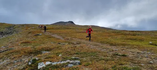 Svepande utsikt från Pieljekaise-toppen - Naturupplevelse utöver det vanliga! 🏔️