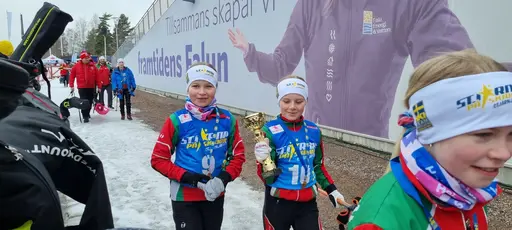 Klicka på bilden för att förstora