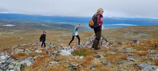 Svepande utsikt från Pieljekaise-toppen - Naturupplevelse utöver det vanliga! 🏔️