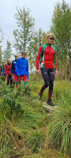 Svepande utsikt från Pieljekaise-toppen - Naturupplevelse utöver det vanliga! 🏔️