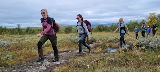 Svepande utsikt från Pieljekaise-toppen - Naturupplevelse utöver det vanliga! 🏔️