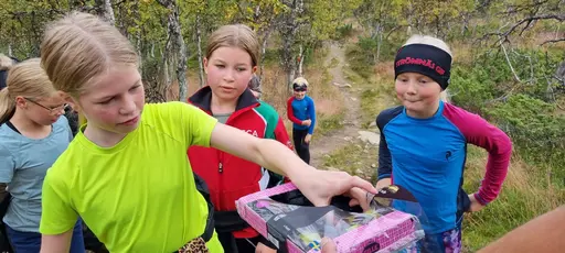 Svepande utsikt från Pieljekaise-toppen - Naturupplevelse utöver det vanliga! 🏔️