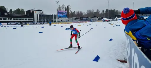 Klicka på bilden för att förstora
