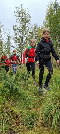Svepande utsikt från Pieljekaise-toppen - Naturupplevelse utöver det vanliga! 🏔️
