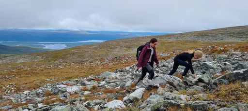 Svepande utsikt från Pieljekaise-toppen - Naturupplevelse utöver det vanliga! 🏔️