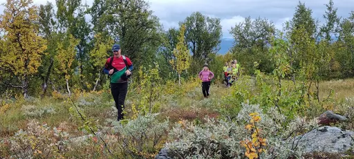 Svepande utsikt från Pieljekaise-toppen - Naturupplevelse utöver det vanliga! 🏔️