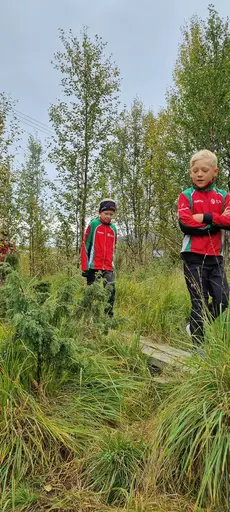 Svepande utsikt från Pieljekaise-toppen - Naturupplevelse utöver det vanliga! 🏔️