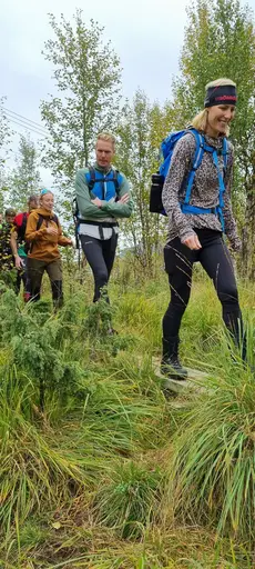 Svepande utsikt från Pieljekaise-toppen - Naturupplevelse utöver det vanliga! 🏔️