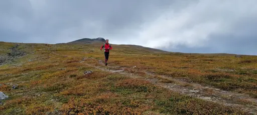 Svepande utsikt från Pieljekaise-toppen - Naturupplevelse utöver det vanliga! 🏔️