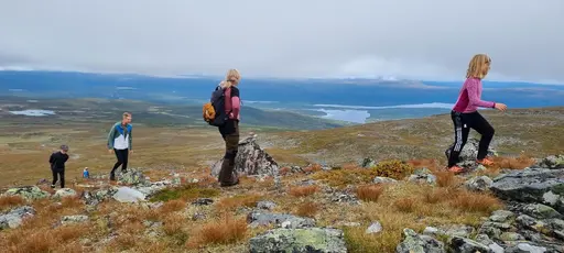 Svepande utsikt från Pieljekaise-toppen - Naturupplevelse utöver det vanliga! 🏔️