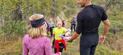 Svepande utsikt från Pieljekaise-toppen - Naturupplevelse utöver det vanliga! 🏔️