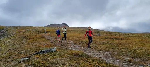 Svepande utsikt från Pieljekaise-toppen - Naturupplevelse utöver det vanliga! 🏔️