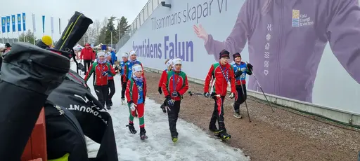 Klicka på bilden för att förstora