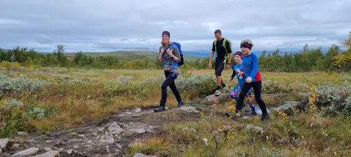 Svepande utsikt från Pieljekaise-toppen - Naturupplevelse utöver det vanliga! 🏔️