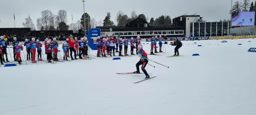 Klicka på bilden för att förstora