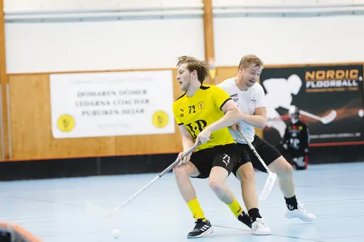 Foto: Angelica Tånneryd