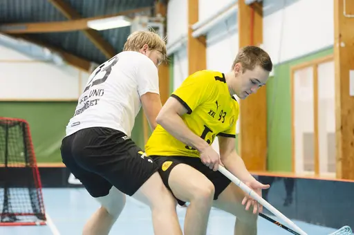 Foto: Angelica Tånneryd