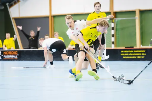 Foto: Angelica Tånneryd