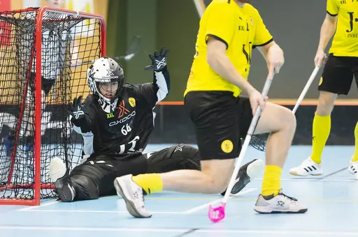 Foto: Angelica Tånneryd