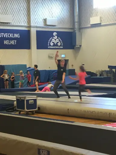 Härliga gymnaster med massor av positiv energi