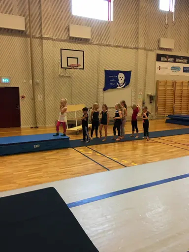 Härliga gymnaster med massor av positiv energi