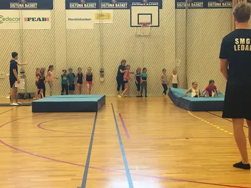 Härliga gymnaster med massor av positiv energi
