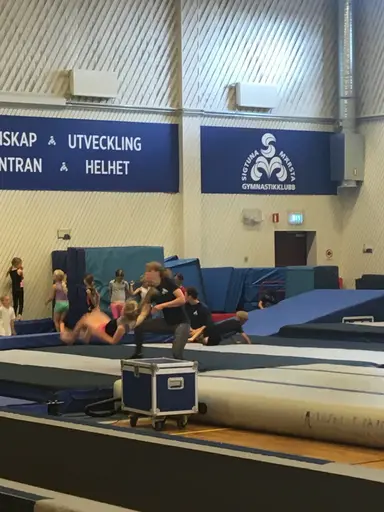Härliga gymnaster med massor av positiv energi