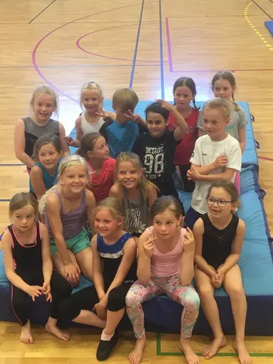 Härliga gymnaster med massor av positiv energi