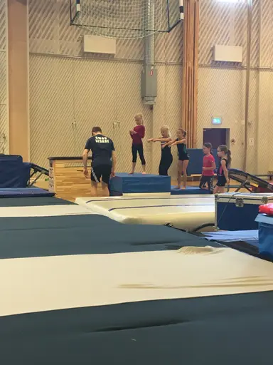 Härliga gymnaster med massor av positiv energi