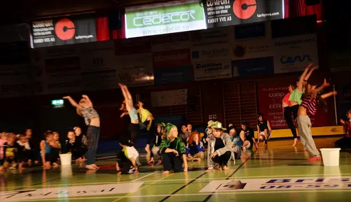 Fotograf Elin Eriksson Gala 2012