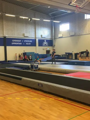 Härliga gymnaster med massor av positiv energi