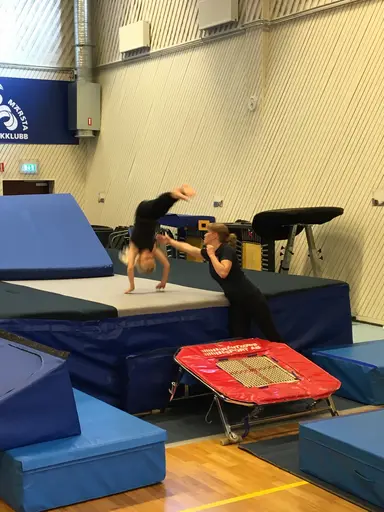 Härliga gymnaster med massor av positiv energi
