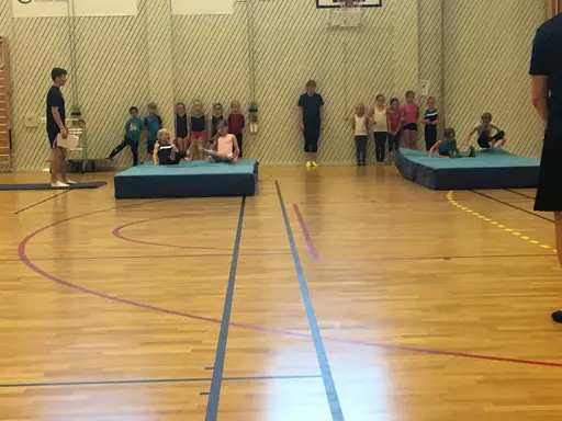 Härliga gymnaster med massor av positiv energi