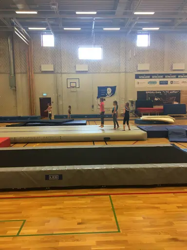 Härliga gymnaster med massor av positiv energi