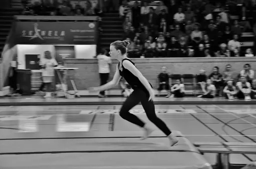Fotograf Elin Eriksson Gala 2012