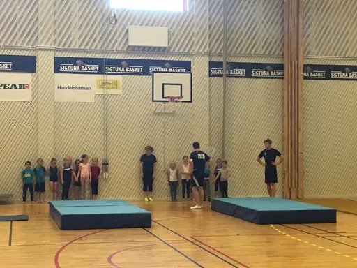 Härliga gymnaster med massor av positiv energi